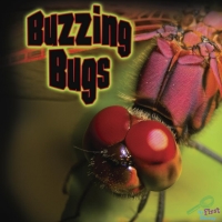 Imagen de portada: Buzzing Bugs 9781615907052