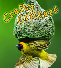 Cover image: Crafty Critters 9781615907946