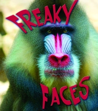 Imagen de portada: Freaky Faces 9781606949139