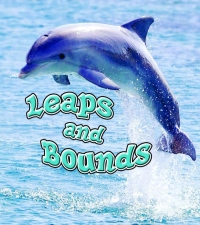 Imagen de portada: Leaps and Bounds 9781615907960