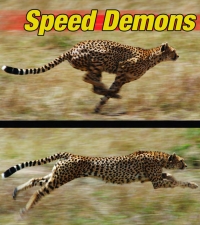 Cover image: Speed Demons 9781606949283