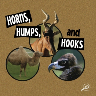 Imagen de portada: Horns, Humps, and Hooks 9781604727876