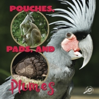 Cover image: Pouches, Pads, and Plumes 9781604727883