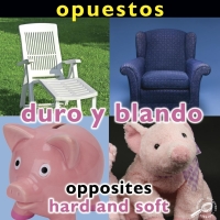 صورة الغلاف: Opuestos: Duro y blando 9781615903436