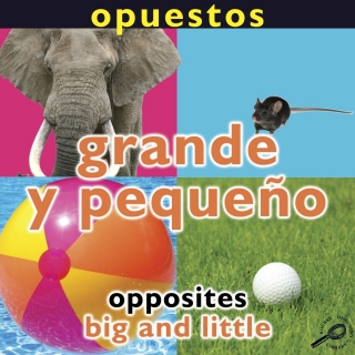 Cover image: Opuestos: Grande y pequeño 9781615903412