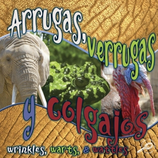 Cover image: Arrugas, verrugas y colgajos 9781604725148