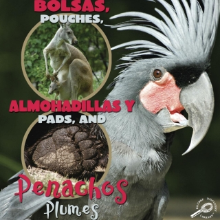 Cover image: Bolsas, almohadillas y penachos 9781604725124