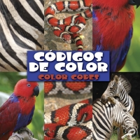 表紙画像: Códigos de color 9781615908684