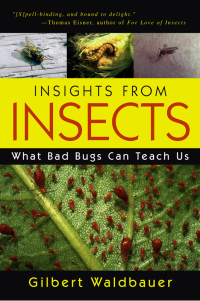 Omslagafbeelding: Insights From Insects 9781591022770