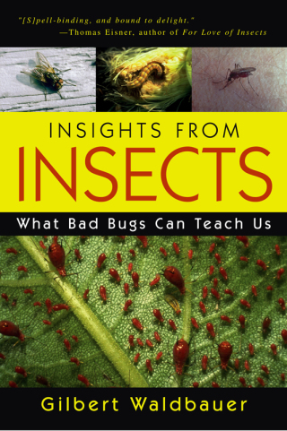 Cover image: Insights From Insects 9781591022770
