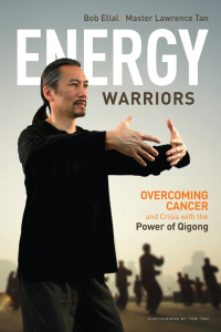 表紙画像: Energy Warriors 9781611250121