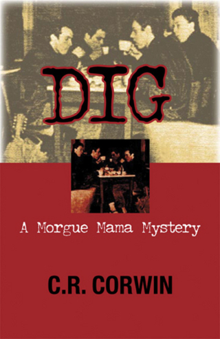 Cover image: Dig 9781590585030