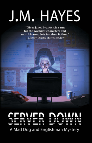 Imagen de portada: Server Down 9781590588932