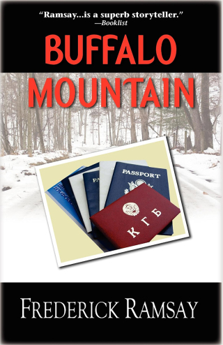 Imagen de portada: Buffalo Mountain 9781590585375