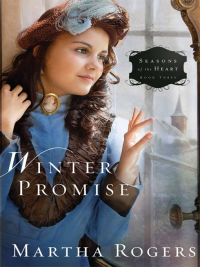 Cover image: Winter Promise 9781616384982