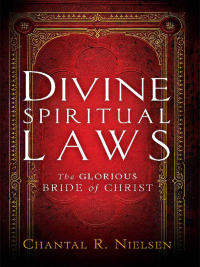 Omslagafbeelding: Divine Spiritual Laws 9781616387464