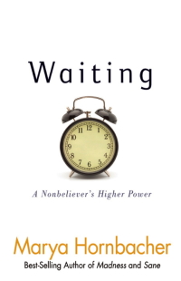 Cover image: Waiting 9781592858255