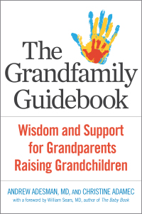 Cover image: The Grandfamily Guidebook 9781616497576