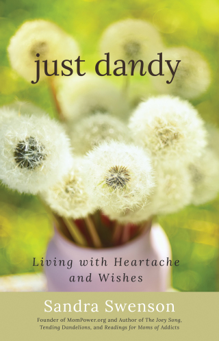 Cover image: Just Dandy 9781616498825