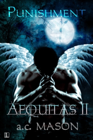 Cover image: Aequitas II Punishment 9781616502263