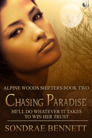 Imagen de portada: Chasing Paradise 9781616502973