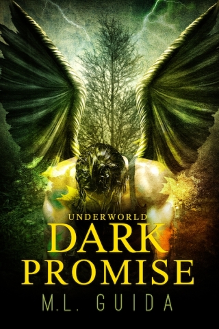 表紙画像: Dark Promise 9781616505271