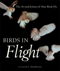 صورة الغلاف: Birds in Flight 9780760333921