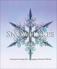 Cover image: Snowflakes 9780760334980