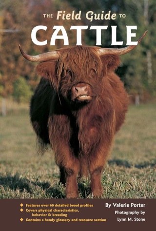 Cover image: The Field Guide to Cattle 9780760331927