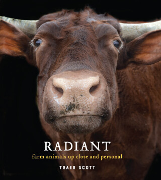 Immagine di copertina: Radiant 9781616897154