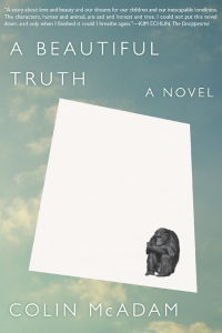 Cover image: A Beautiful Truth 9781616953157