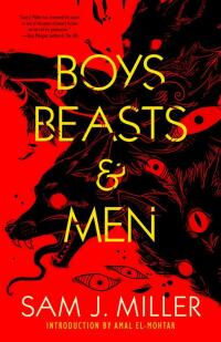 表紙画像: Boys, Beasts & Men 9781616963729