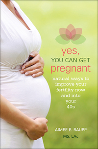 Imagen de portada: Yes, You Can Get Pregnant 1st edition 9781936303694