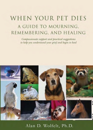 Imagen de portada: When Your Pet Dies 9781879651364