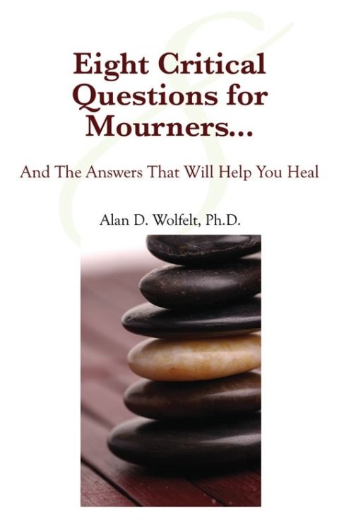 Eight Critical Questions for Mourners : And the Answers That Will Help You Heal - FULL INSTANT DOWNLOAD | PDF DOCX EPUB