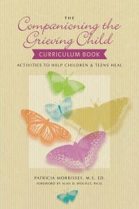Cover image: The Companioning the Grieving Child Curriculum Book 9781617221859