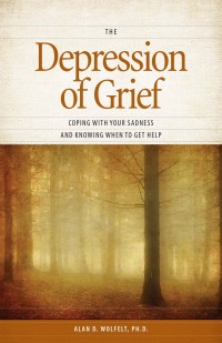 Omslagafbeelding: The Depression of Grief 9781617221934