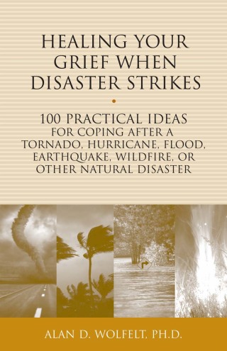 表紙画像: Healing Your Grief When Disaster Strikes 9781617222092