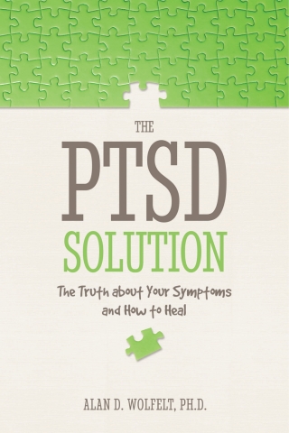 Imagen de portada: The PTSD Solution 9781617222269