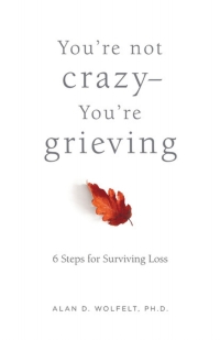 Omslagafbeelding: You’re Not Crazy—You’re Grieving: 9781617222993