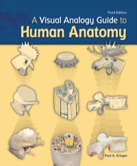 Cover image: A Visual Analogy Guide to Human Anatomy 3rd edition 9781617130645