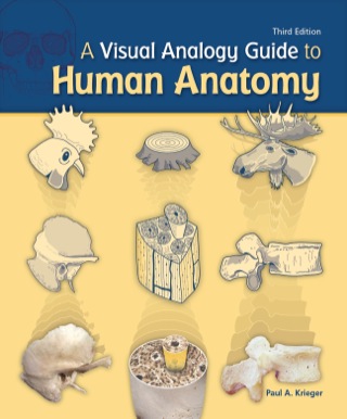 Cover image: A Visual Analogy Guide to Human Anatomy 3rd edition 9781617130645