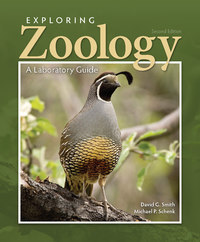 Cover image: Exploring Zoology: A Laboratory Guide 2nd edition 9781617311567