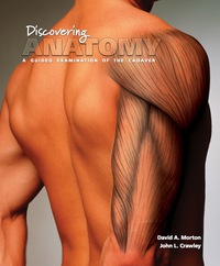 Cover image: Discovering Anatomy: A Guided Examination of the Cadaver 1st edition 9781617316166