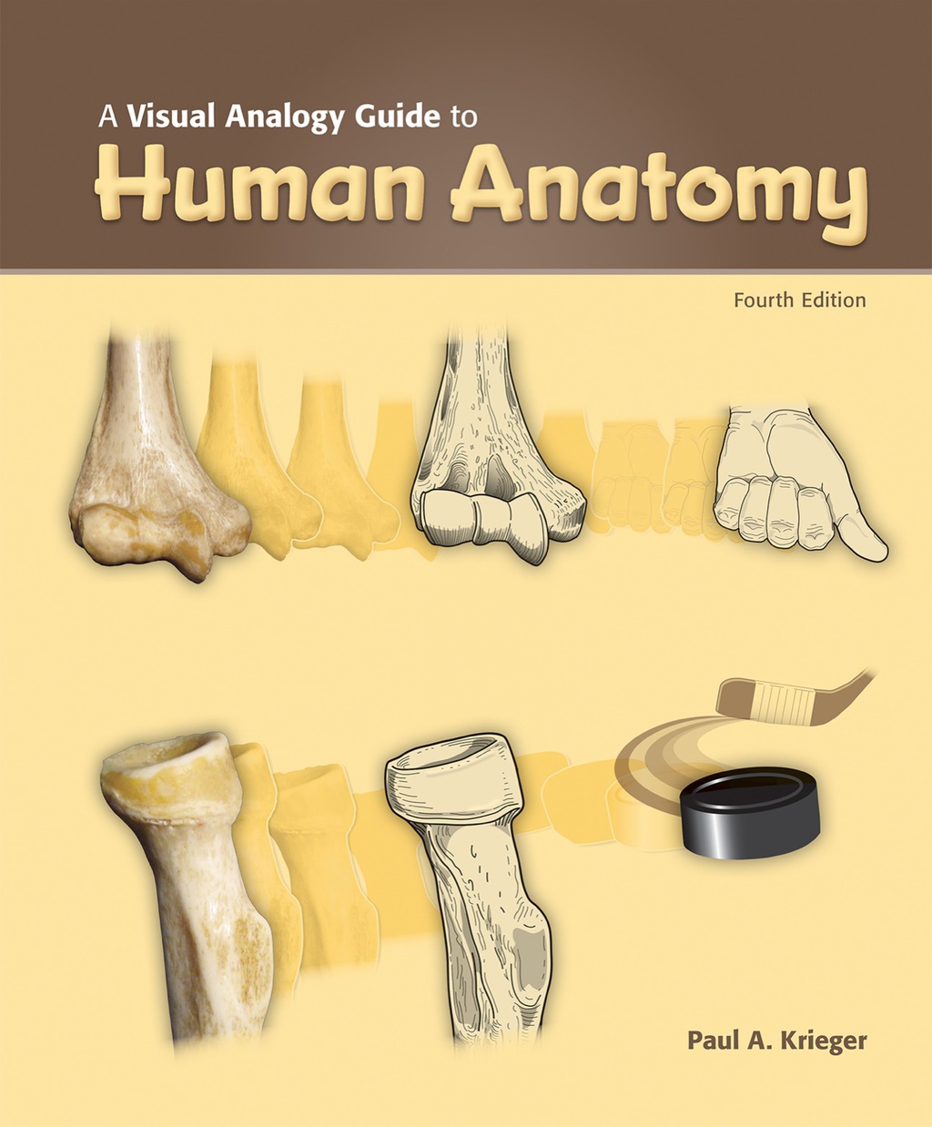 A Visual Analogy Guide to Human Anatomy 4th Edition