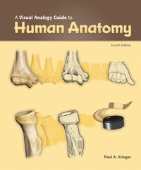 Cover image: A Visual Analogy Guide to Human Anatomy 4th edition 9781617316241
