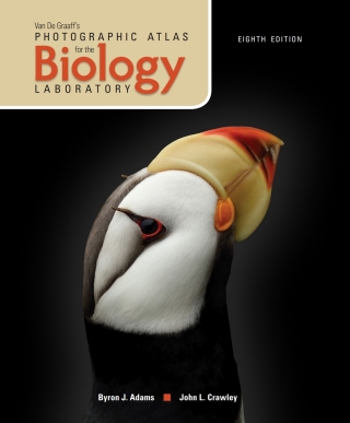 Cover image: Van De Graaff's Photographic Atlas for the Biology Laboratory 8th edition 9781617317651
