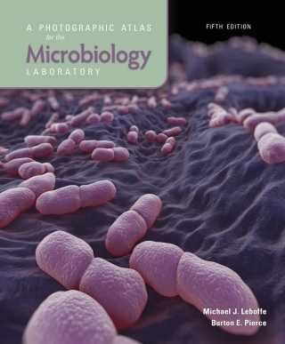 Cover image: A Photographic Atlas for the Microbiology Laboratory 5th edition 9781617319037