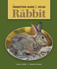 Cover image: A Dissection Guide & Atlas to the Rabbit 1st edition 9781617319372