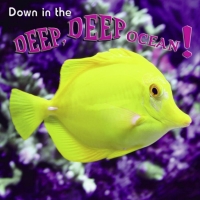 صورة الغلاف: Down in the Deep, Deep, Ocean! 9781604725346